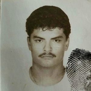 Meet your Posher, El pato